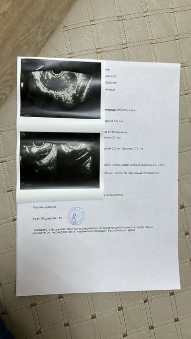 Kazakhstan Surrogacy & Egg Donor | 26 Yrs Old, Blood Type B, 165cm, 50kg | ID #120024 |