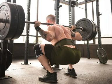 Rejuvist Fitness Weight Lifting Belt - Medium
