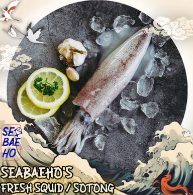 Squid / Sotong 苏东