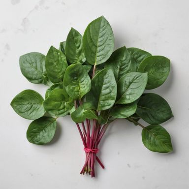 Malabar Spinach  per lb/ Espinaca Malabar