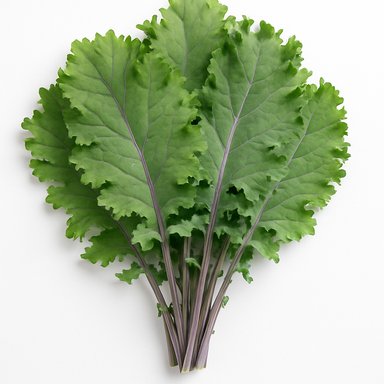 Russian Kale 1.5 / Kale Ruso 1.5 lb