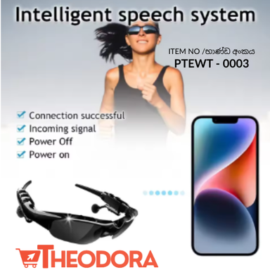 Polarized Sunglasses with Headphones