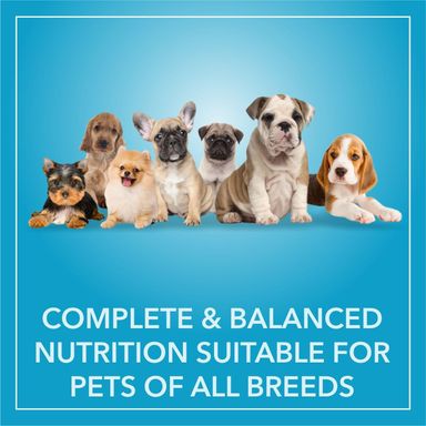 Purepet Adult Dog Dry Food Chicken and Vegetable 3kg