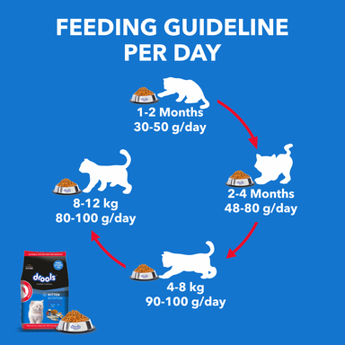 Drools Kitten & Mother Cats Mackerel 1kg + Free container