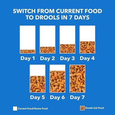 Drools AdultCat Dry Food  Real Chicken 3kg