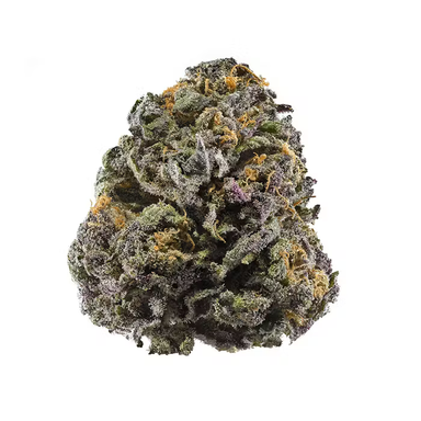 Indoor Flower