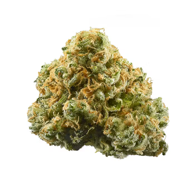 Indoor Flower