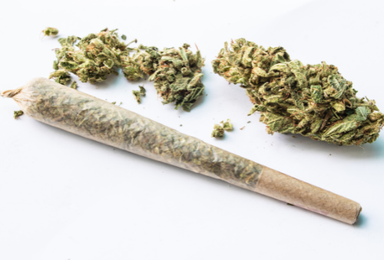 Greenhouse Pre roll