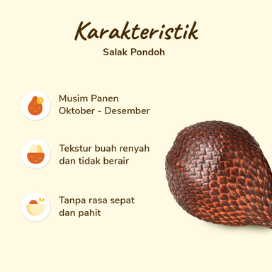 Salak Pondoh pack 10-14 pcs 1000-1100 gram