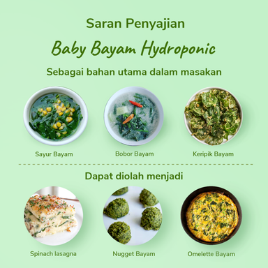 Baby Bayam Hydroponic 100gram
