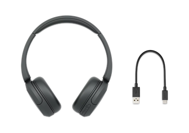 Sony WH-CH520