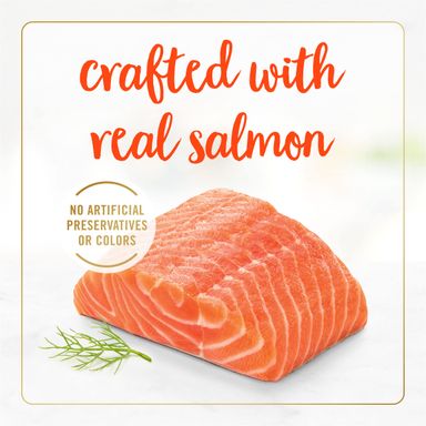 FANCYFST CLAS Salmon (85g)