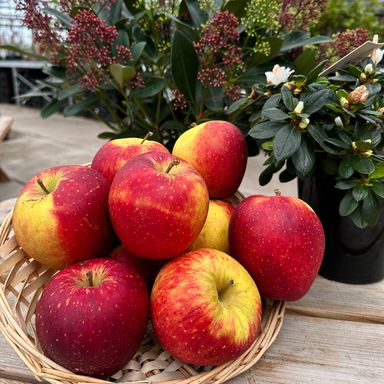 Wellant appels 
