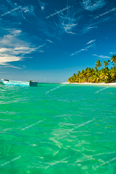 Playa Las Ballenas 685