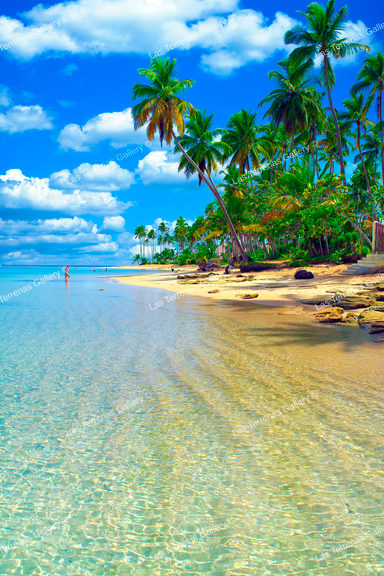 Punta Bonita 9767