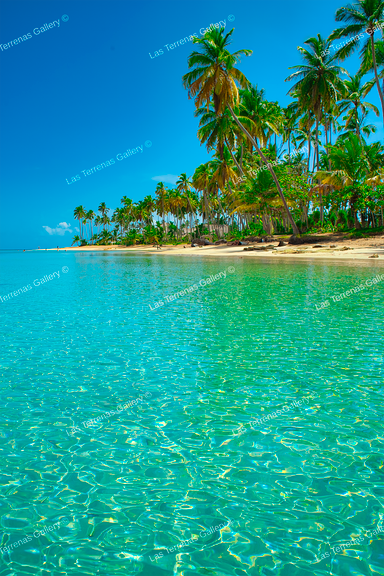 Punta Bonita 9771