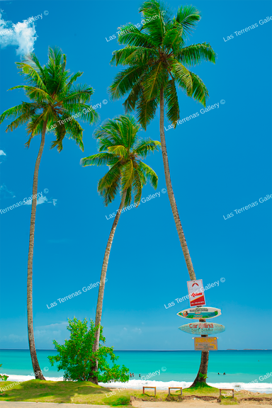 Playa Bonita 9811