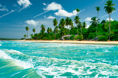 Playa Cosón 2451