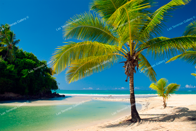 Rio Playa Las Ballenas 1670