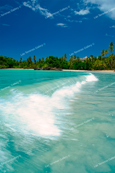 Playa Bonita 1457