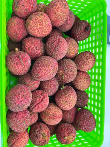 China Seedless Lychee 