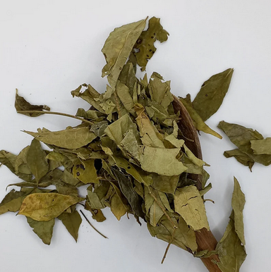 Curry Leaves 25g / Hojas de Curry 25g