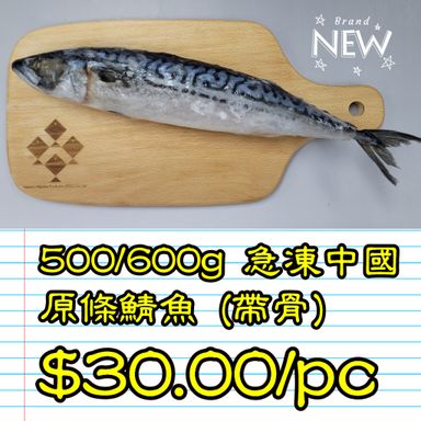 500/600g 急凍中國原條鯖魚 (帶骨)