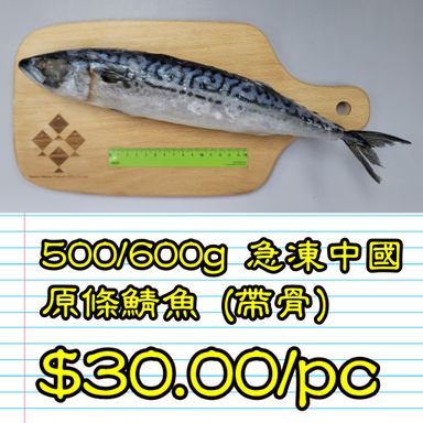 500/600g 急凍中國原條鯖魚 (帶骨)