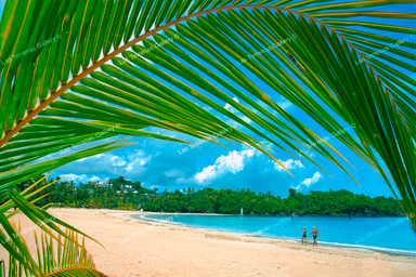 Playa Las Ballenas