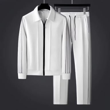 Ohsisa 2025 Spring and Autumn Sports Set Casual Collar Long Sleeve Zipper Cardigan Sweatshirt Loose Sport Two Piece Set