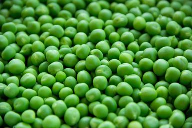 Fresh Peas