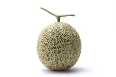 (HUGE & SWEET) Crown Melon クラウンメロン | Shizuoka Prefecture (静岡県)