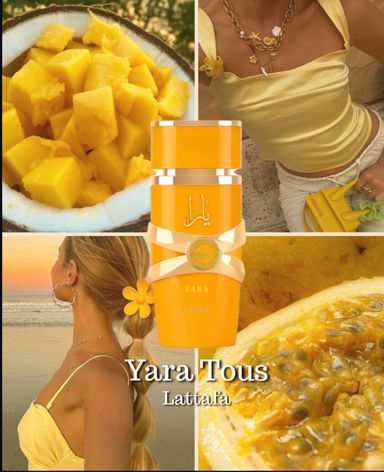 Yara Tous