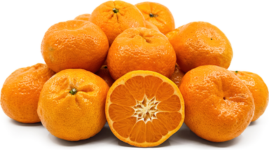 Aust Imperial Mandarin