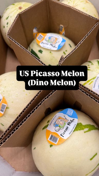 US PICASSO MELON (Dino Melon)