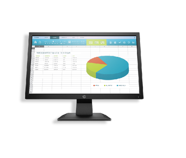 HP P204v 19.5-inch Monitor 