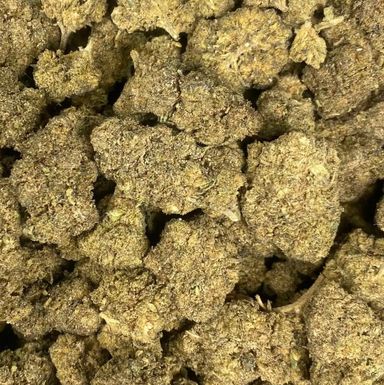 GELATO 45