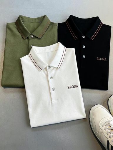 Zegna [T-shirts & Knitted Polo]