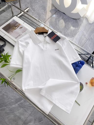 Zegna [T-shirts & Knitted Polo]