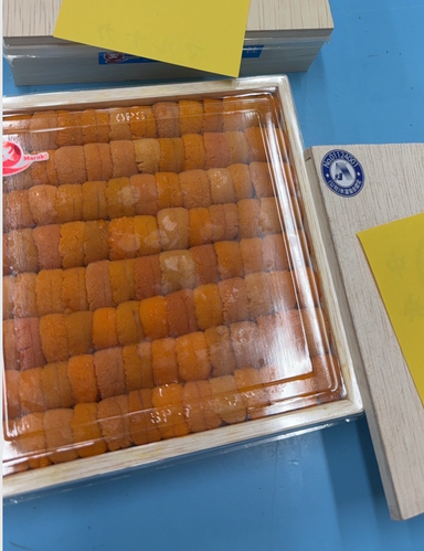 (TUES BATCH, EXP: 30 JUN) 400g 'Hirakawa 平川' Ranked Uni
