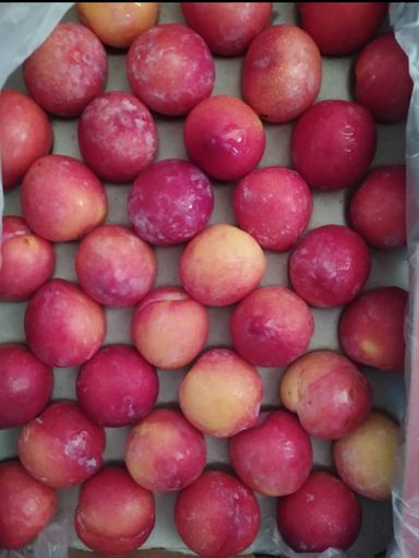 Plums 500 g