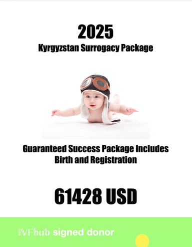 🧬 2025 Kazakhstan Surrogacy One Stimulation Two Transfer Package｜👨‍👩‍👦 Heterosexual Couple 