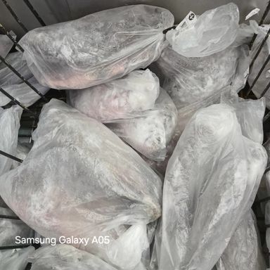 Tilapia 500-800 G.M 1kg