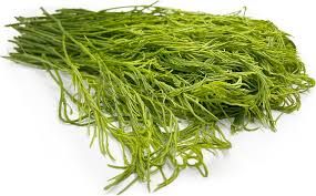 Cha-om 100g
