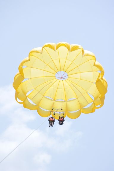 ⚜️PARACELLIN⚜️