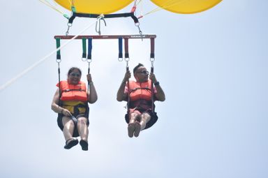 ⚜️PARACELLIN⚜️