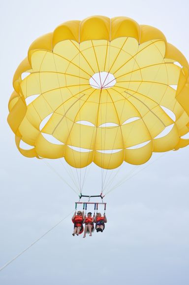 ⚜️PARACELLIN⚜️