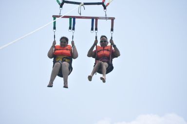 ⚜️PARACELLIN⚜️