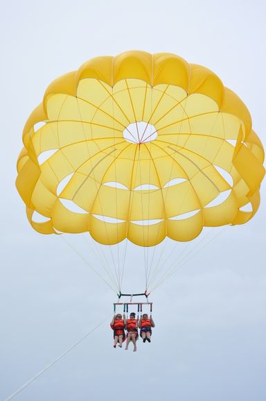 ⚜️PARACELLIN⚜️