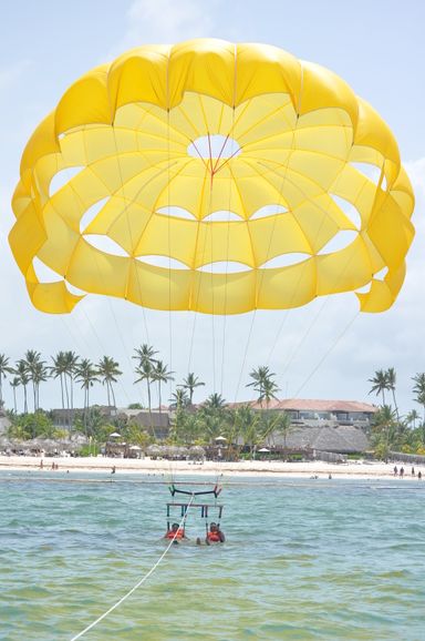 ⚜️PARACELLIN⚜️